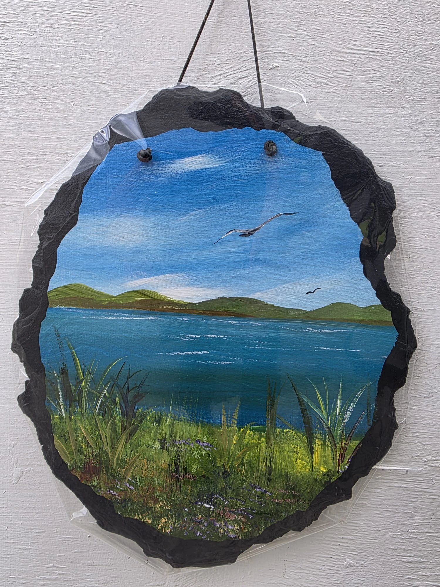Irish 12x9 inc