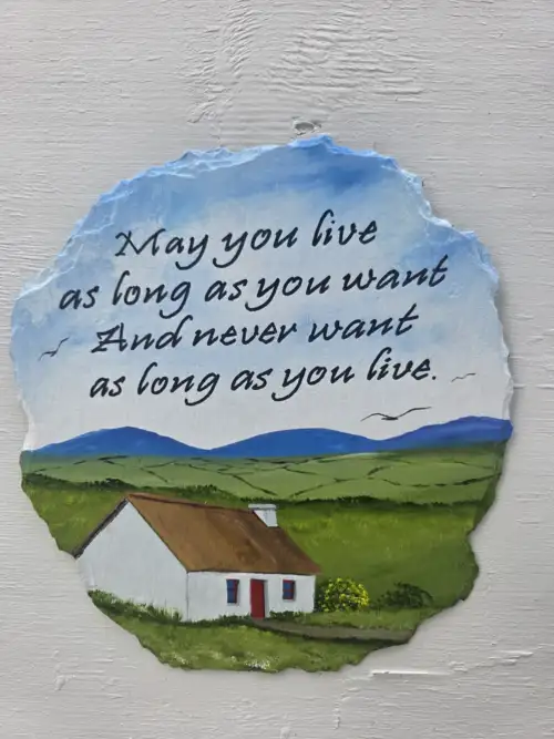 Irish 13x 12inc