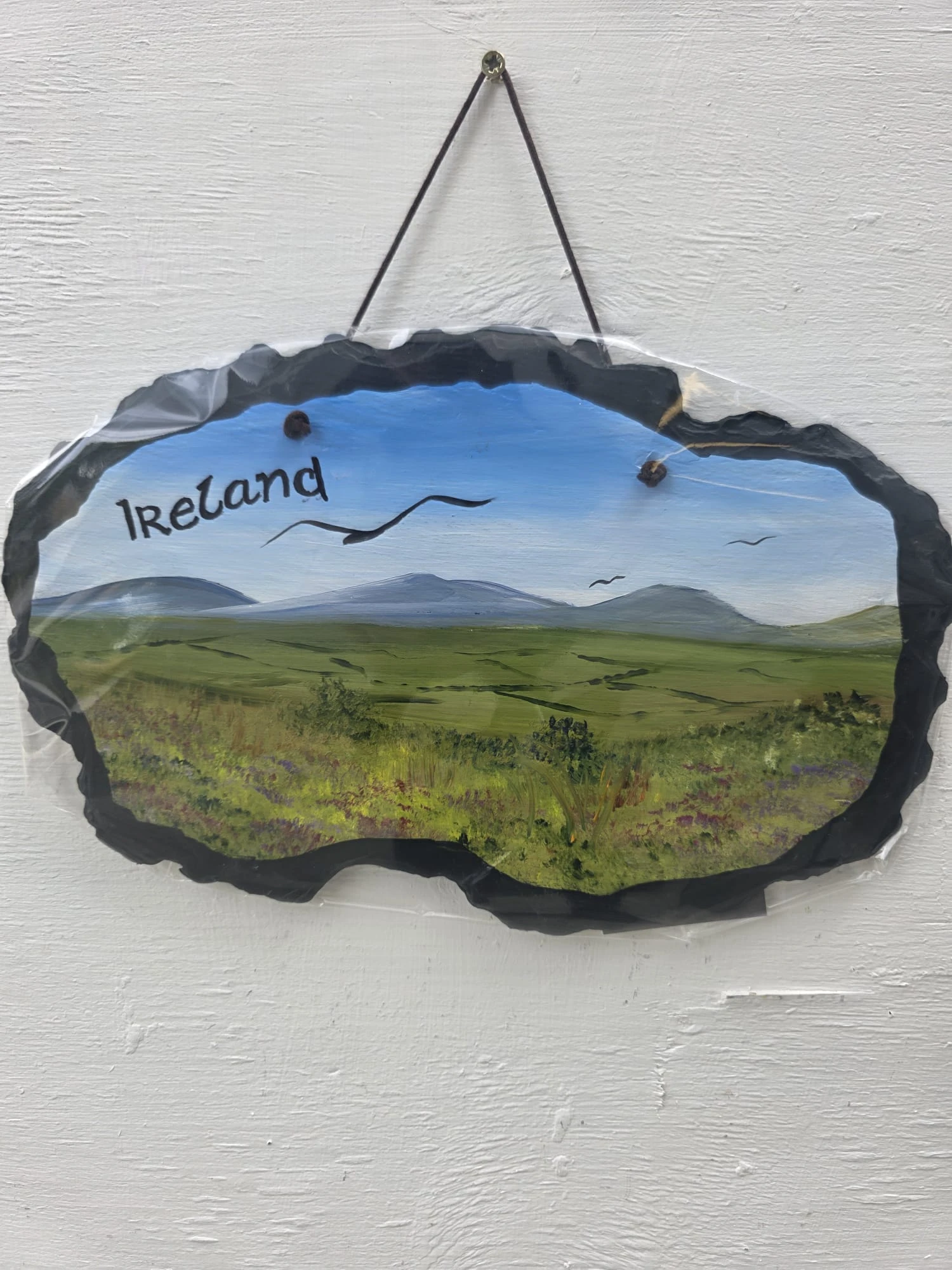 Irish12 x8 inch